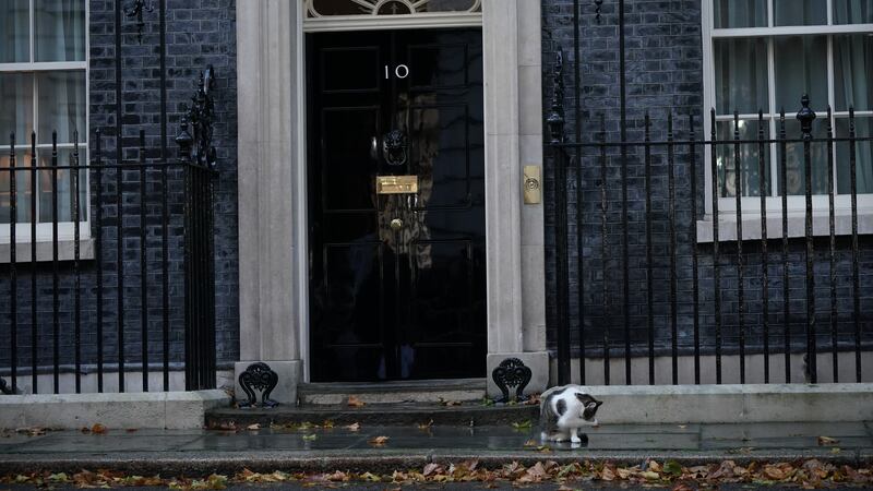 Larry the cat, in Downing Street after Liz Truss made a statement, where she announced her resignation as Prime Minister.