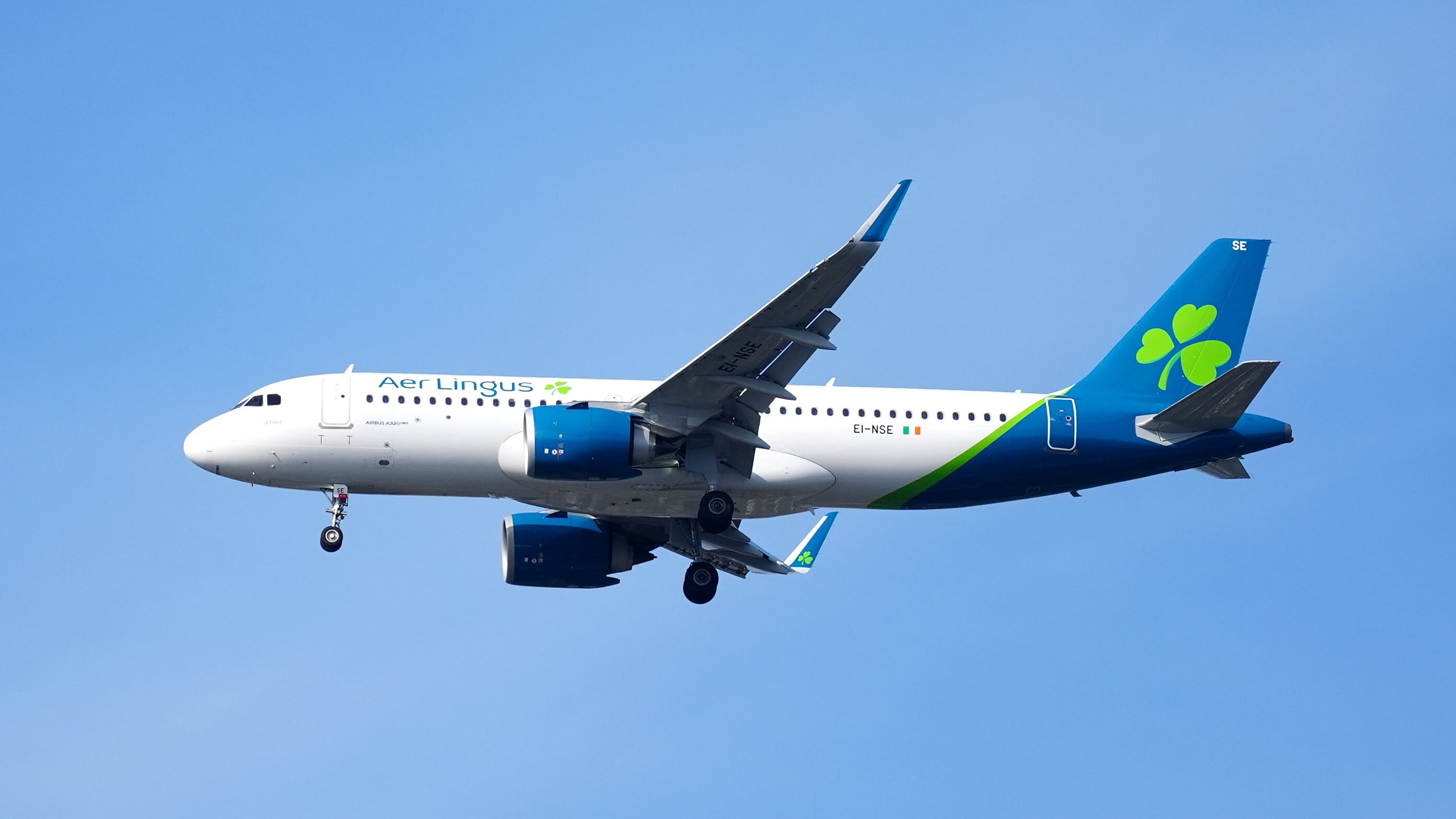 A number of airlines, including Aer Lingus, sought for the decision to be paused pending the outcome of judicial proceedings they are bringing in relation to the cap