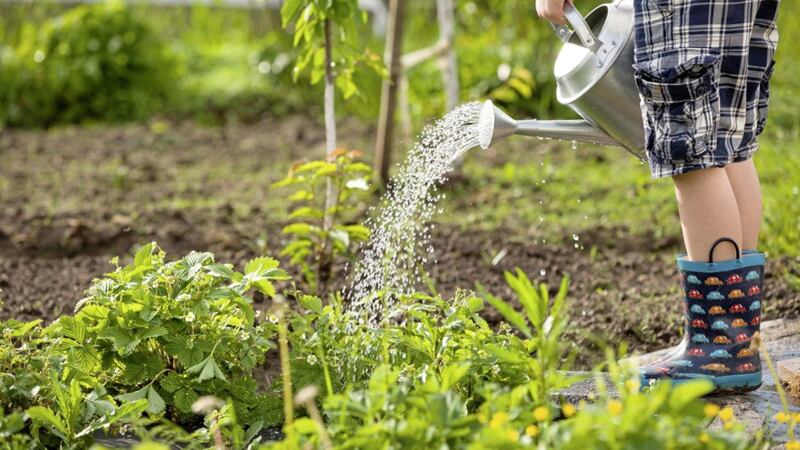 Playing with water should encourage children into the garden 