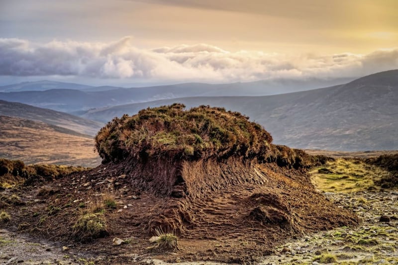 The Wicklow Mountains &ndash; &#39;While today has been heather, yesterday was pure bog&#39;. Picture by Getty Images 