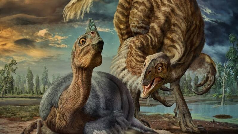 Other dinosaurs of the same type have rarely measured more than about two metres, in comparison to this discovery’s eight metres.
