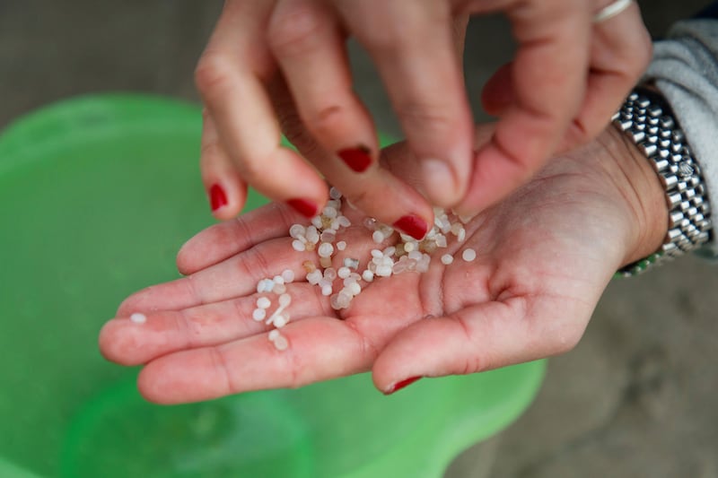 A volunteer holds plastic pellets collected from a beach in Nigran, Pontevedra, Spain (Lalo R Villar/AP)
