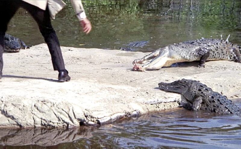 Bond faces an army of hungry crocodiles in Live and Let Die 