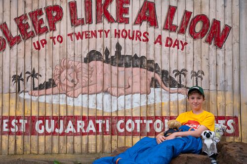Charity camper, 11, to snooze with the lions for children’s charity