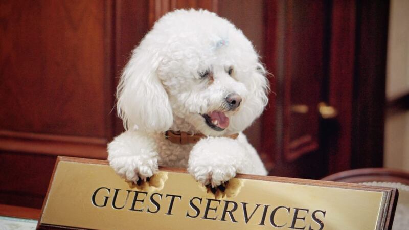 A pet concierge is available at Muckross Park Hotel &amp; Spa, Killarney 