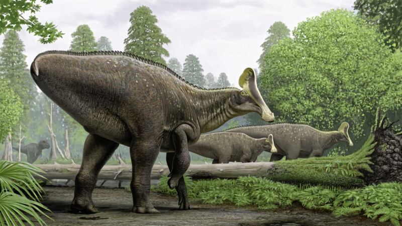 A palaeoartist&#39;s reconstruction painting of the injured dinosaur 