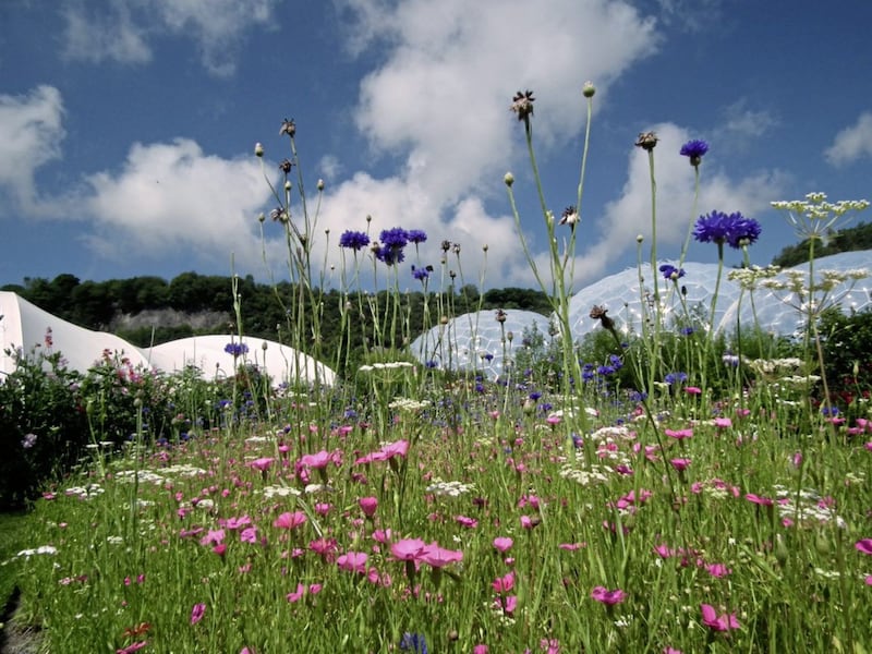The Eden Project in Cornwall 