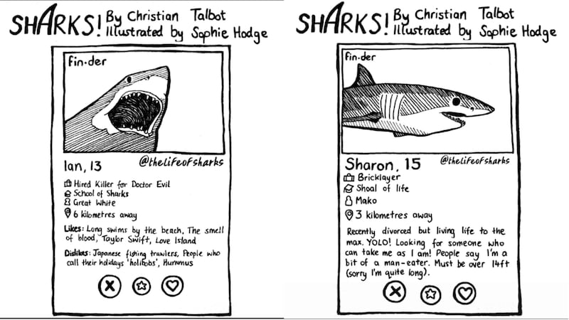 These cartoon sharks are looking for love on Finder.
