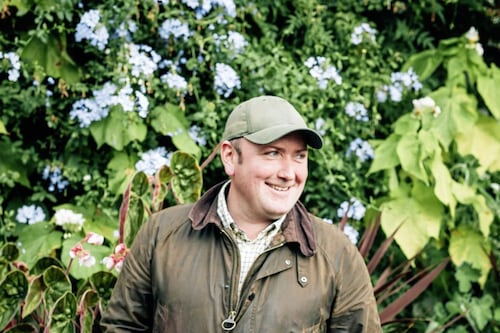 The Casual Gardener: Marvelling at mid-winter magic of Montalto Estate, Ballynahinch 