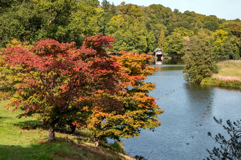 Winkworth Arboretum is already seeing early autumn colour (National Trust/Hugh Mothersole/PA)