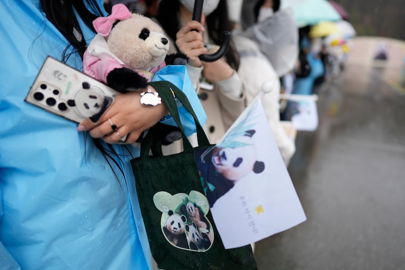 Visitors hold pictures of Fu Bao as they await the panda’s departure (Lee Jin-man/AP)