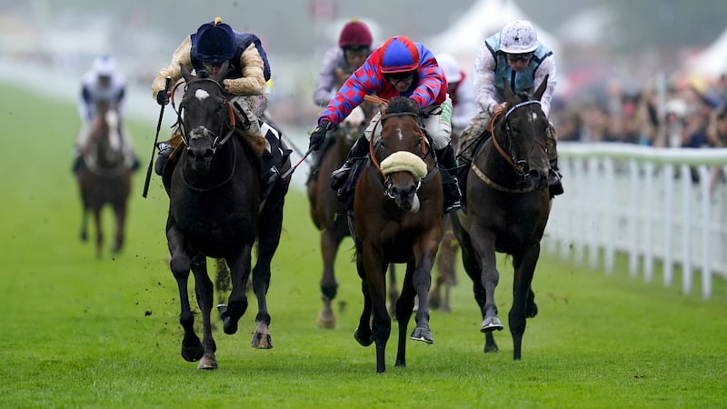 Big Evs (centre) can follow up his Molecomb Stakes win by taking the Flying Childers