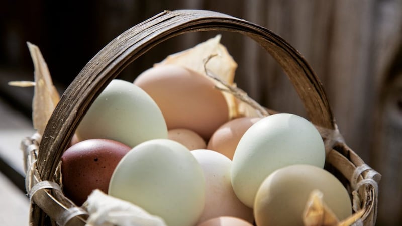 On insurance matters, it&#39;s important not to put all your eggs in one basket 