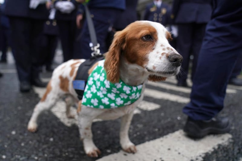 St Patrick’s Day Parade – Dublin