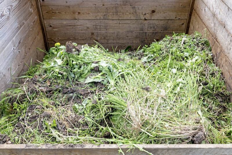 Choose an organic and peat-free compost 