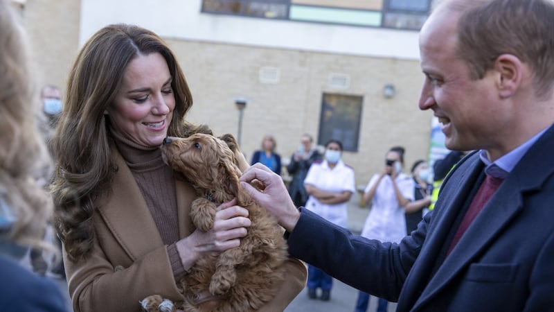 The duchess made friends with cockapoo pup Alfie, 10 weeks, as she and William visited a hospital in East Lancashire to thank staff.