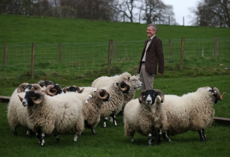 rennie and a ram (Andrew Milligan/PA)