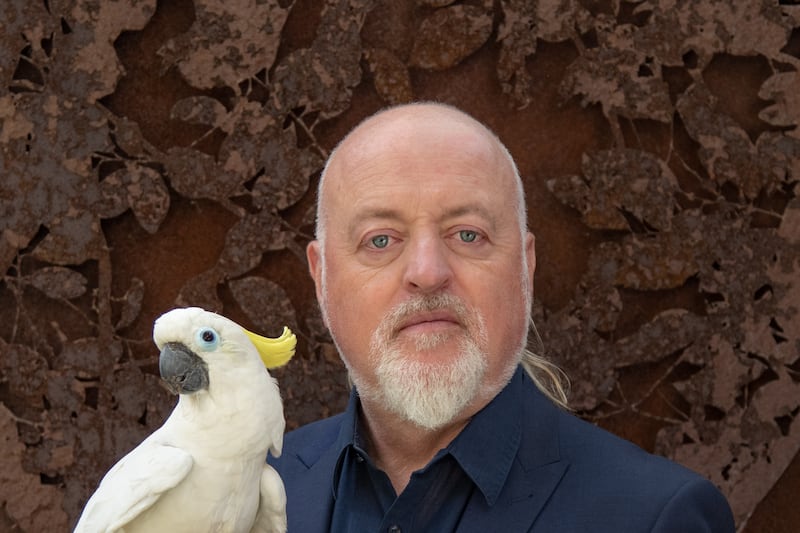 Armadillos, cockerels, whales and more: The ‘profound effect’ animals have had on Bill Bailey’s life