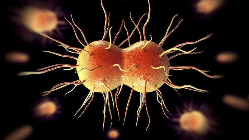 Gonorrhoea is the second most common bacterial sexually transmitted infection in the UK after chlamydia 