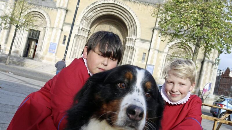 Belfast Cathedral choir boys welcome Bernese mountain dog Xin to St Anne&#39;s ahead of the Pets&#39; service on Sunday  