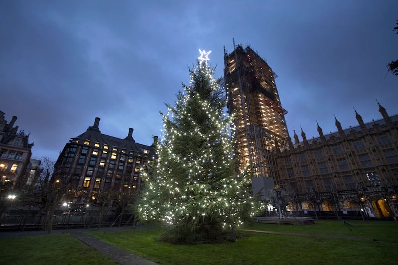 Uk Parliament Christmas tree