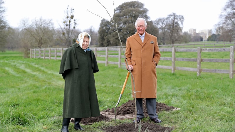 The Queen’s Green Canopy scheme has been launched to encourage people to plant trees from October onwards.