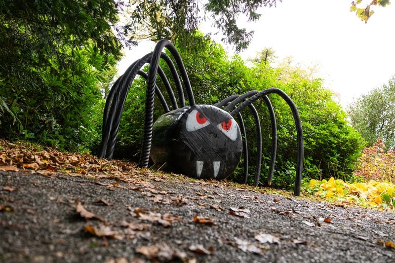 Halloween at Montalto Estate