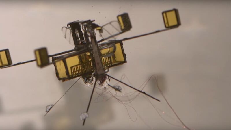 RoboBee surpasses the capabilities of many real insects.