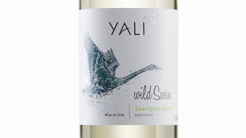 Yaii Wild Swan Sauvignon Blanc 2018, Central Valley, Chile (&pound;7.50, The Co-op stores) 