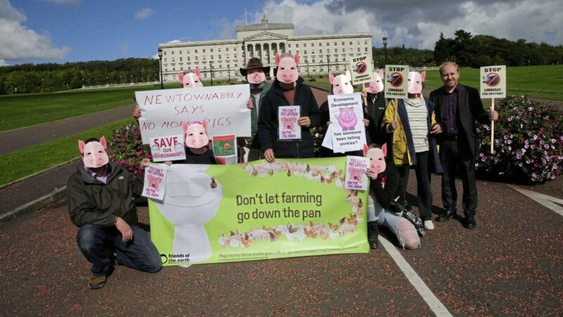 The Newtownabbey Protest group against the pig factory protest at Stormont yesterday Picture by Hugh Russell. 