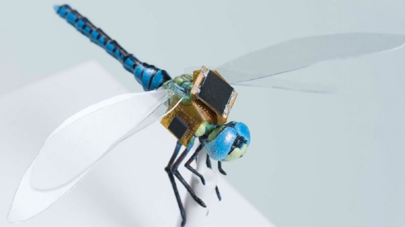 Scientists are fitting dragonflies with tiny mind-controlling backpacks