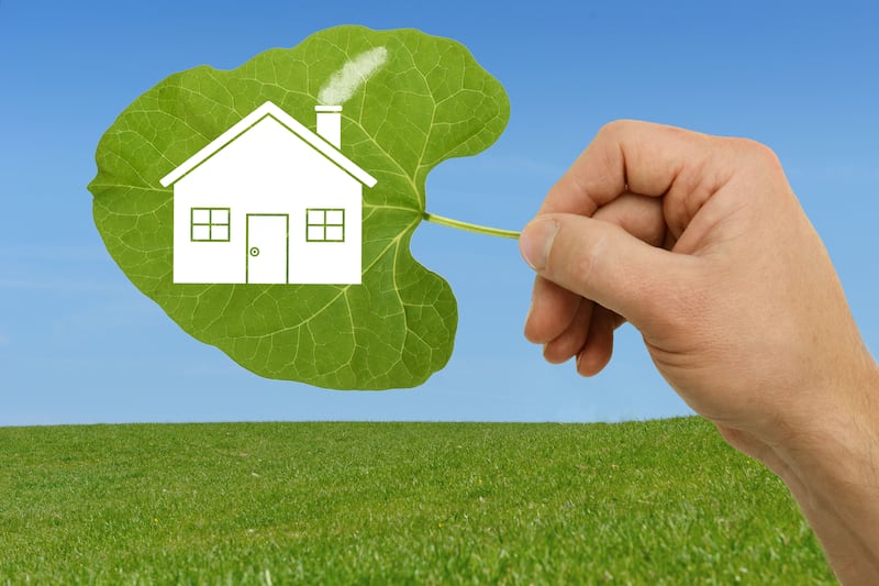 Social housing standards should support nature recovery as well as meeting housing need