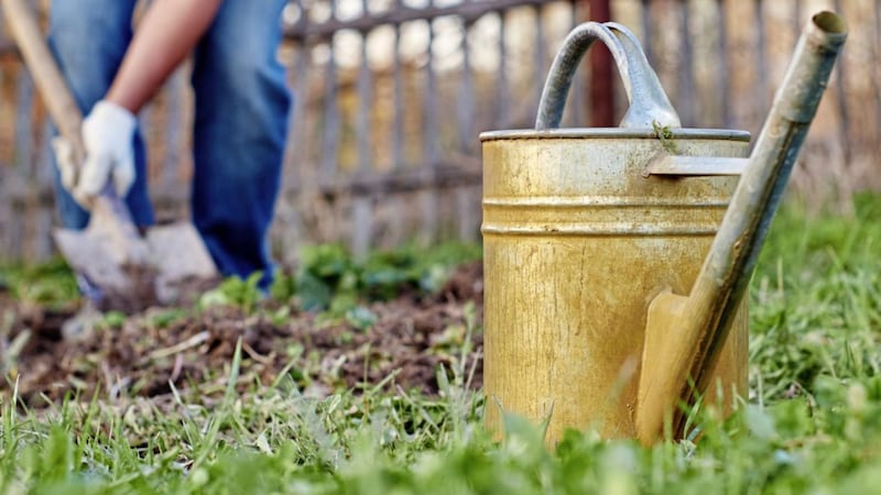 Digging can double the load on the joints leaving many gardeners susceptible to chronic injury 