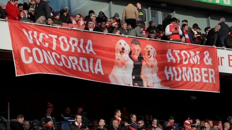 Arsenal fans created a contender for banner of the season with a tribute to Alexis Sanchez's dogs