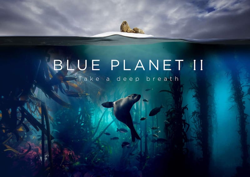 Blue Planet II was a hit for the BBC around the world 