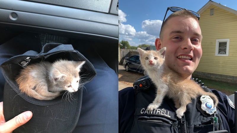Murfreesboro Police Department shared photos of the unusual rescue by Officer Wes Cantrell in Tennessee.