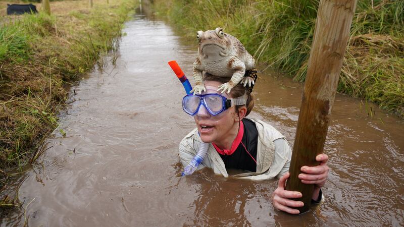 The Rude Health World Bog Snorkelling Championships is taking place on Sunday (Ben Birchall/PA)