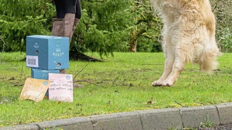 Sarah McFarland launches Norsh with Holly, Mackle Petfoods&#39; chief taster. Photo: Simon Graham 