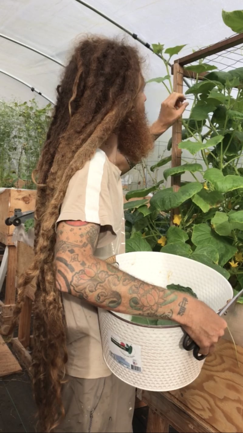 Robert in his greenhouse