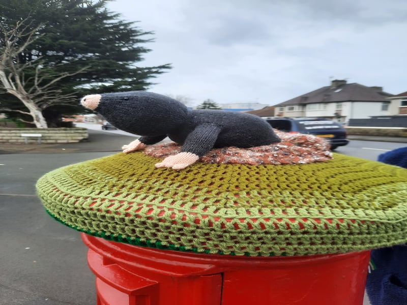 Rachel Williamson, a retired police officer, has been making postbox toppers in Rhyl, Wales, during the coronavirus pandemic