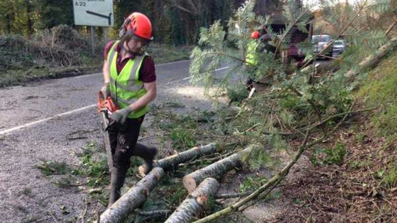 Fallen trees are removed from the Killyleagh Road in Downpatrick. Picture by Mal McCann on Twitter&nbsp;