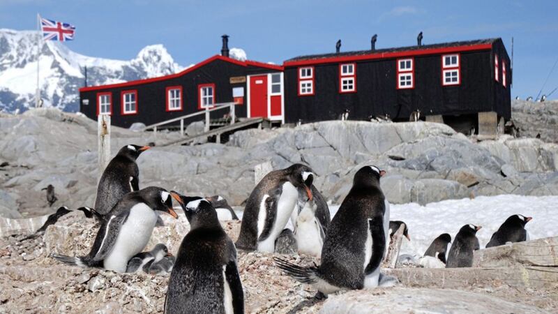 Port Lockroy in the Antarctic is home to a colony of Gentoo penguins 