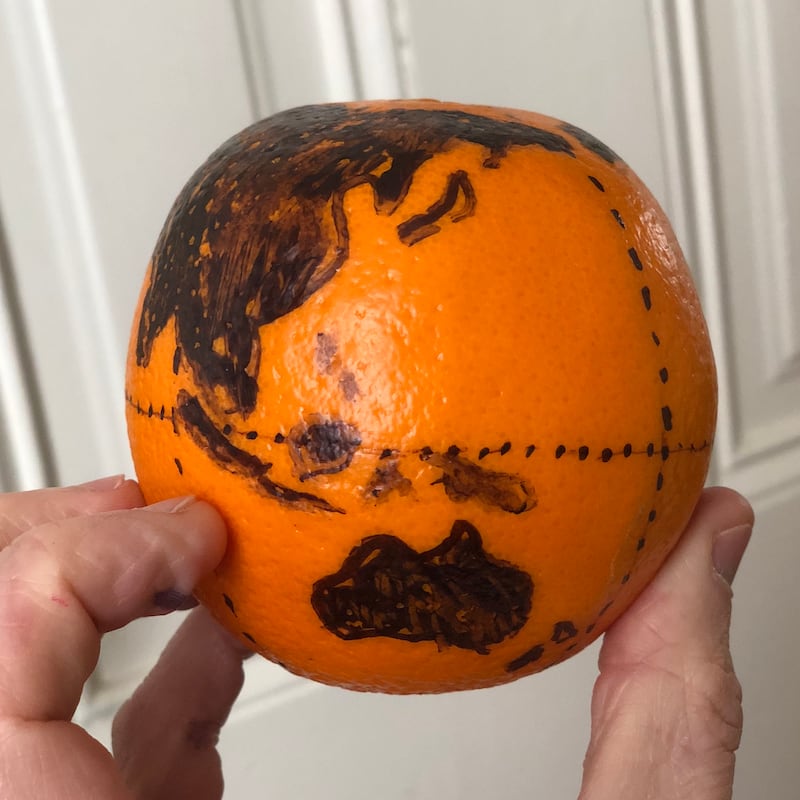 A globe drawn out on to an orange (RJ Andrews/@InfoWeTrust)