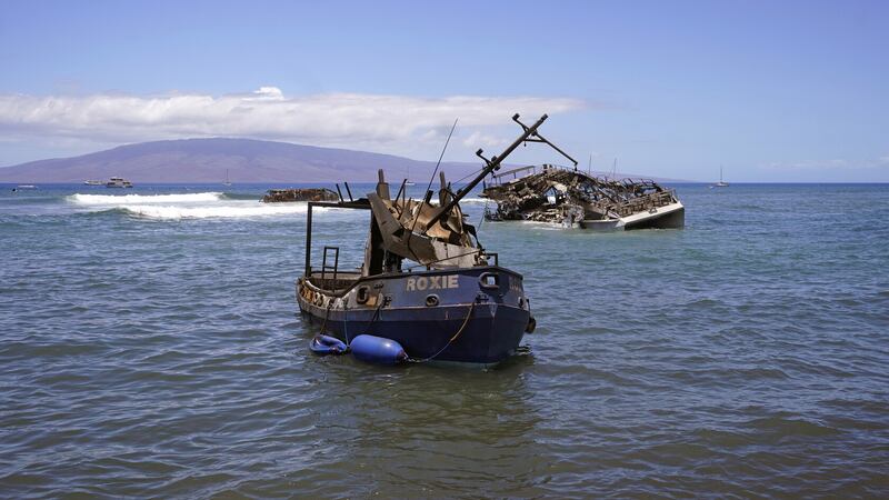 Burnt boats sit in waters off Lahaina (AP)