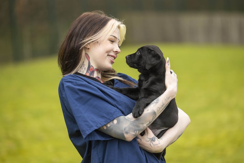 An eight-week-old prospective guide dog puppy enjoys playtime and socialisation with Suki