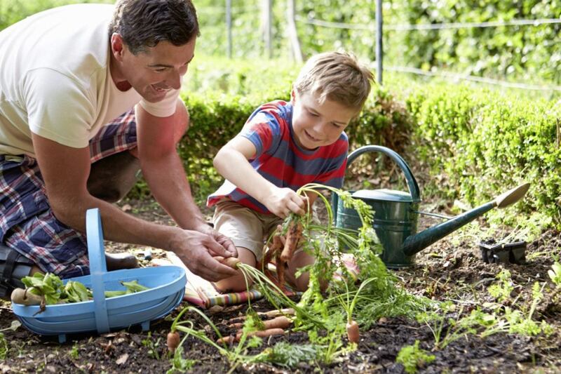 Growing your own veg is a brilliant family activity 