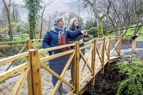 Montalto Estate in Co Down to open 'Lost Garden' attraction to public  
