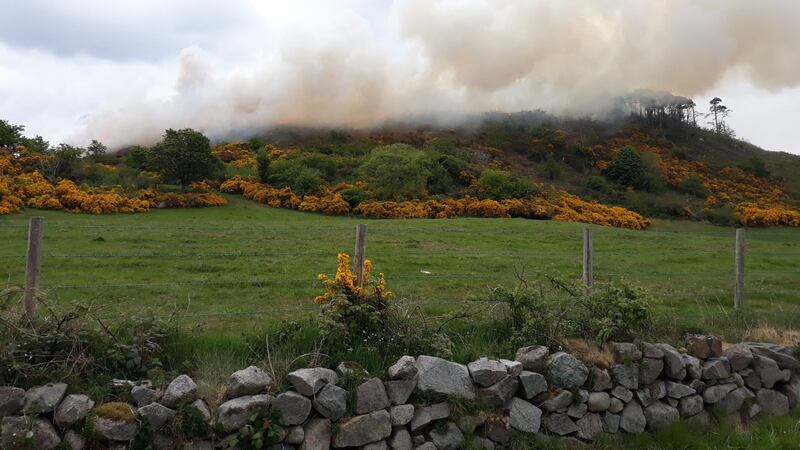 &nbsp;NIFRSSouth handout photo from the Twiiter feed of @nifrssouth of a large forest fire in Castlewellan, Co Down.