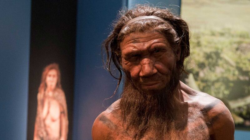 Researchers say the ancient human relatives could have been wiped out without environmental pressure or competition with modern humans.