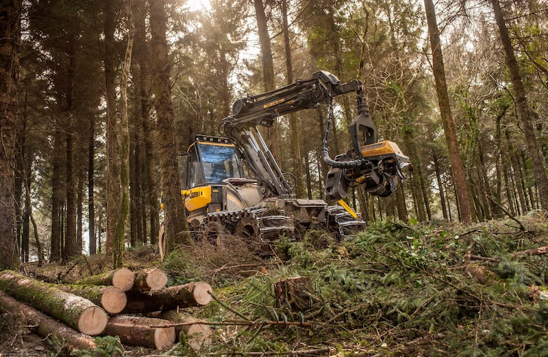 The tours will cover issues such as sustainable timber production and how woodlands are designed to create habitats for wildlife (Forestry Commission/PA)